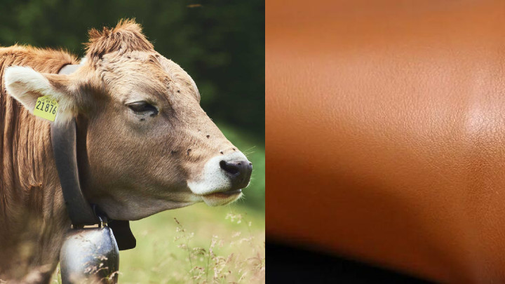 Cattle Leather