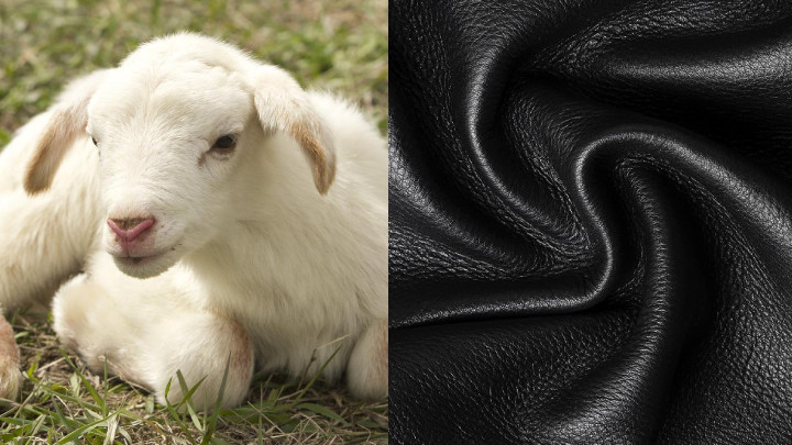 Lambskin