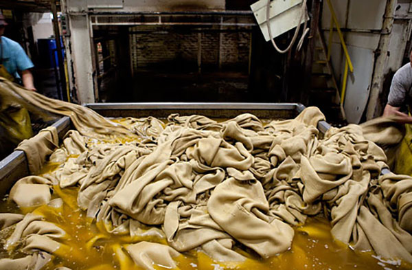 Tanning leather process