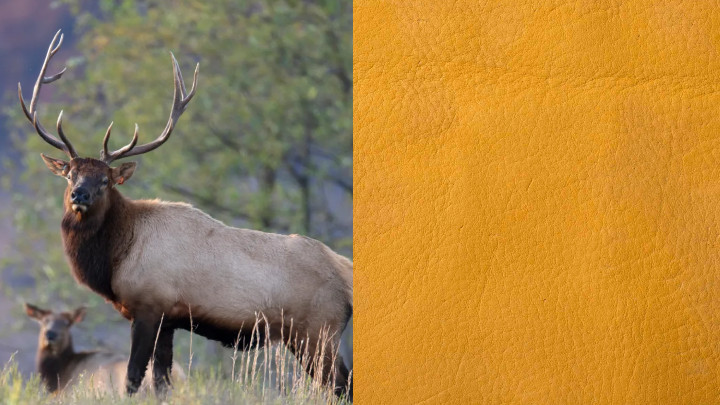 Elk Leather