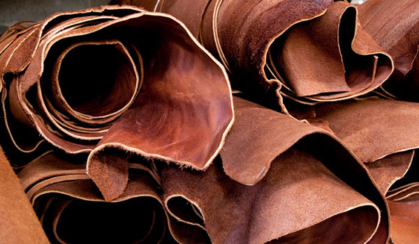 The Origin of Leather