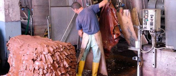 (1/6) A tannery in Italian Conceria Tempesti - Vegetable Tanning