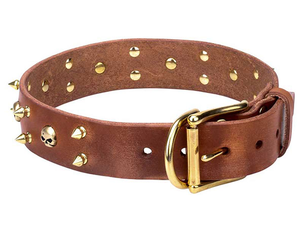 Traditional Dog Collars