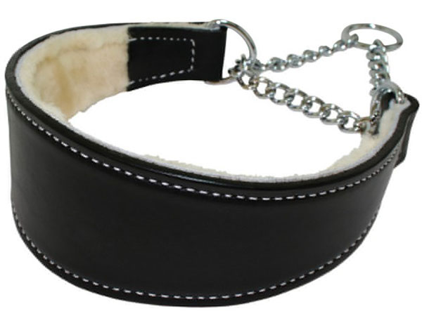 Martingale collar