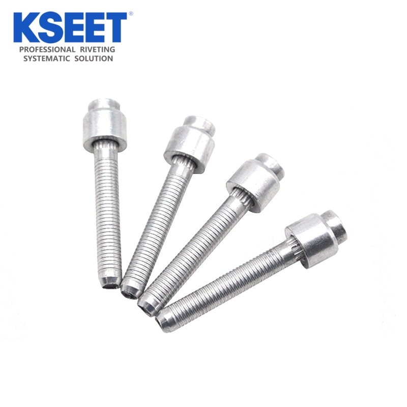 Kseet Blind Sealing Plugs Rivet (6)