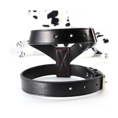 Adjustable Pet Collars & Leashes for Dog