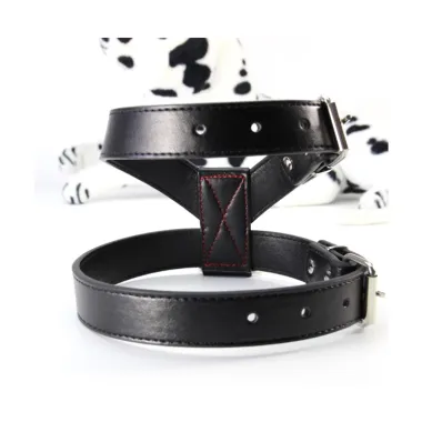 Adjustable Pet Collars & Leashes for Dog 