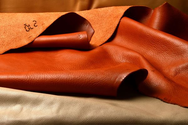 Term Collection of Leather Raw Material & Production Technology