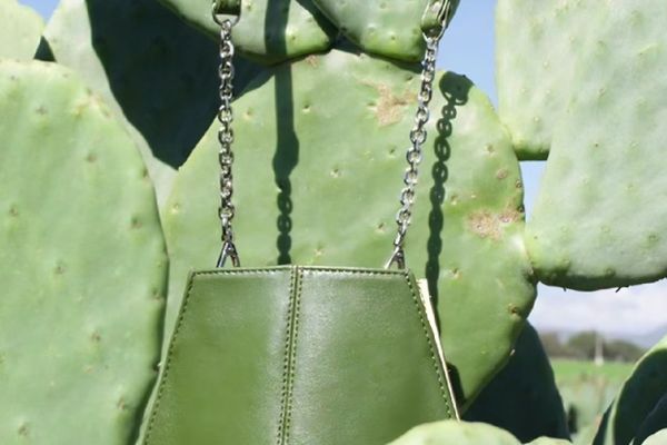 Vegan Leather: All You Need To Know