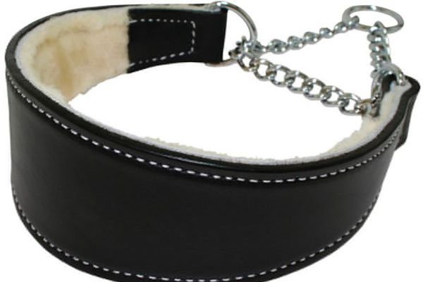 What is a martingale collar?