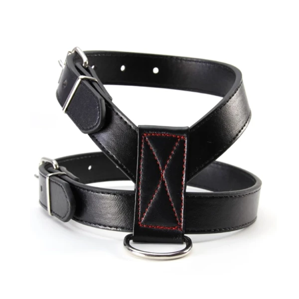 Leather Dog Belt 1.jpg 