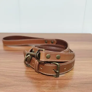 Heritage Full-Grain Leather Dog Collar & Leash Set