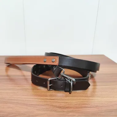 Western Two-Tone Leather Dog Collar Set with Conchos