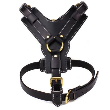 Leather Dog Harness, Collar & Leash