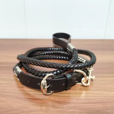 Hand-Braided Full-Grain Leather Dog Leash & Collar Set